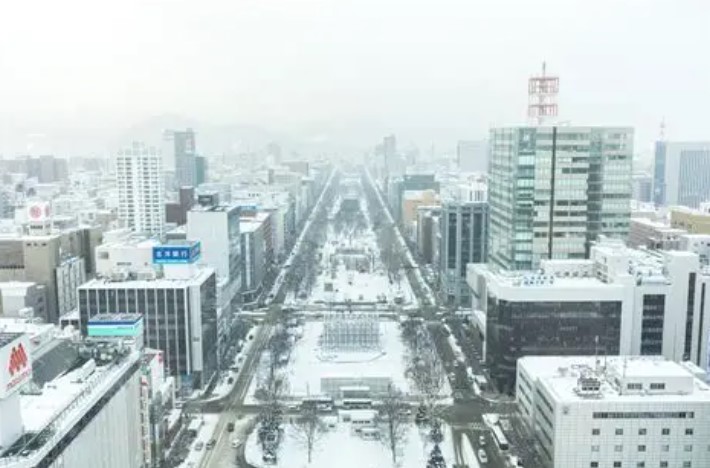 冬の札幌市街地を上空から撮影した風景。雪に覆われた建物や道路が映っており、寒冷地特有の厳しい気候を表している。