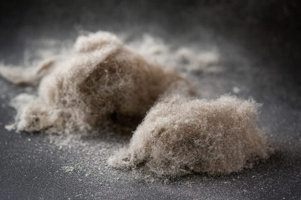 床の上に溜まった2つの大きなホコリの塊をクローズアップで捉えた様子。細かい繊維やチリが絡み合い、室内にホコリが蓄積している状態がわかる写真。